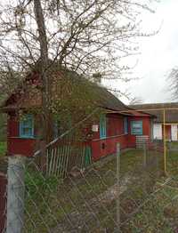Продам будинок хату в селі Горбів