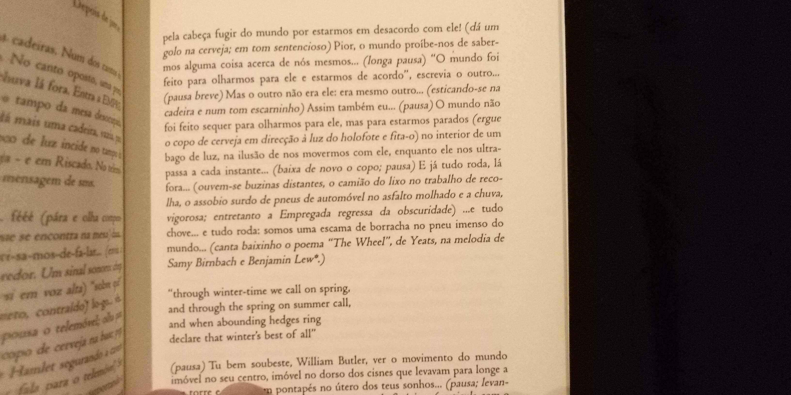 Rui Lage - Não há mais que nascer e morrer