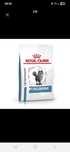 Karma dla kota Royal Canin