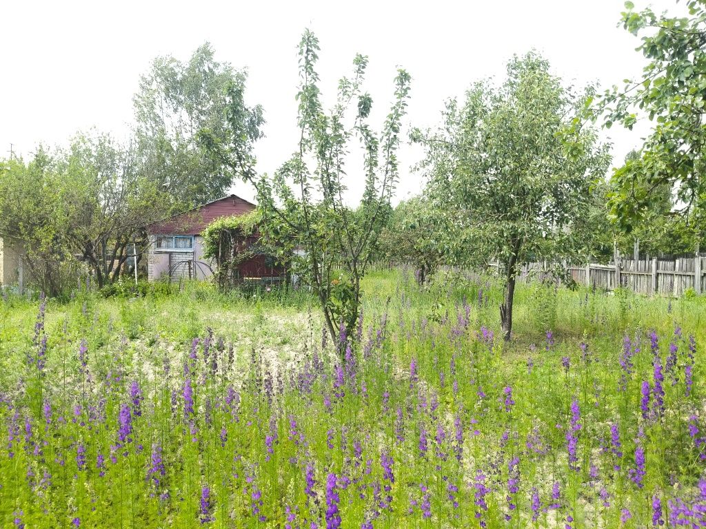 Продаж дачі,Вільський масив!