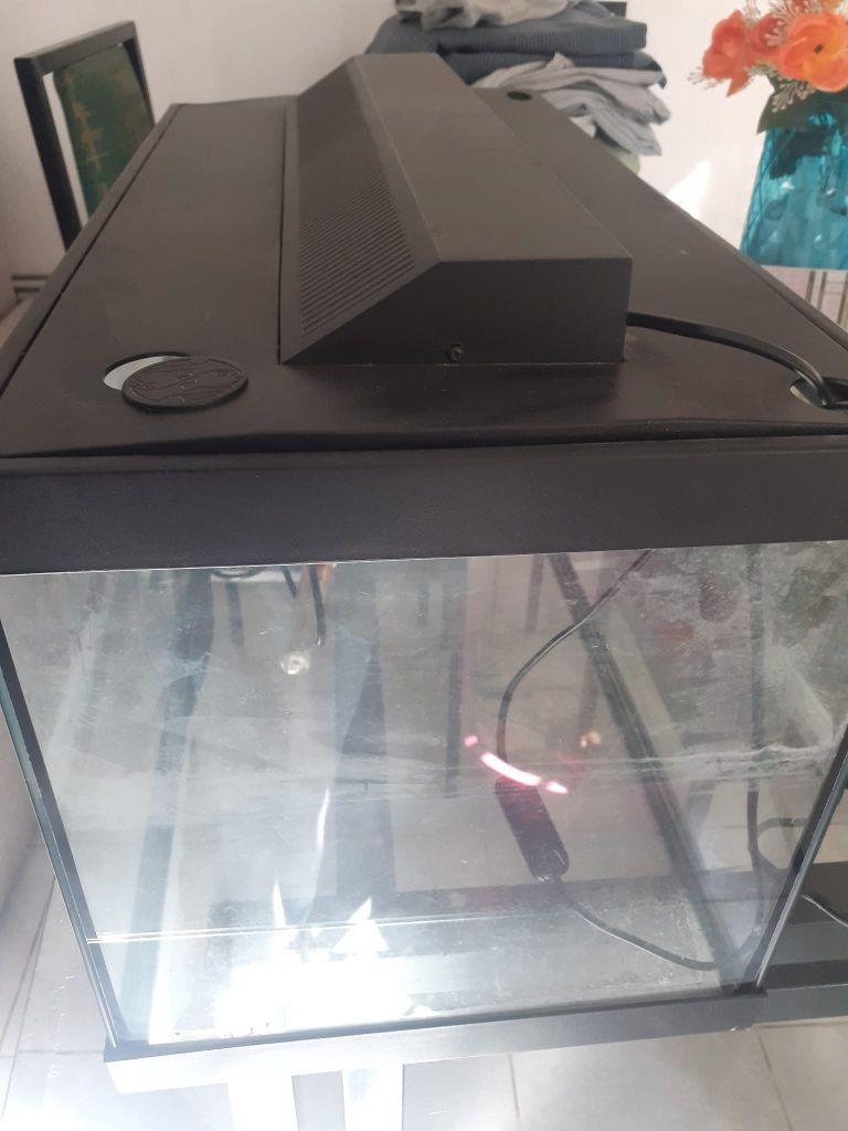 AQUÁRIO USADo 30l