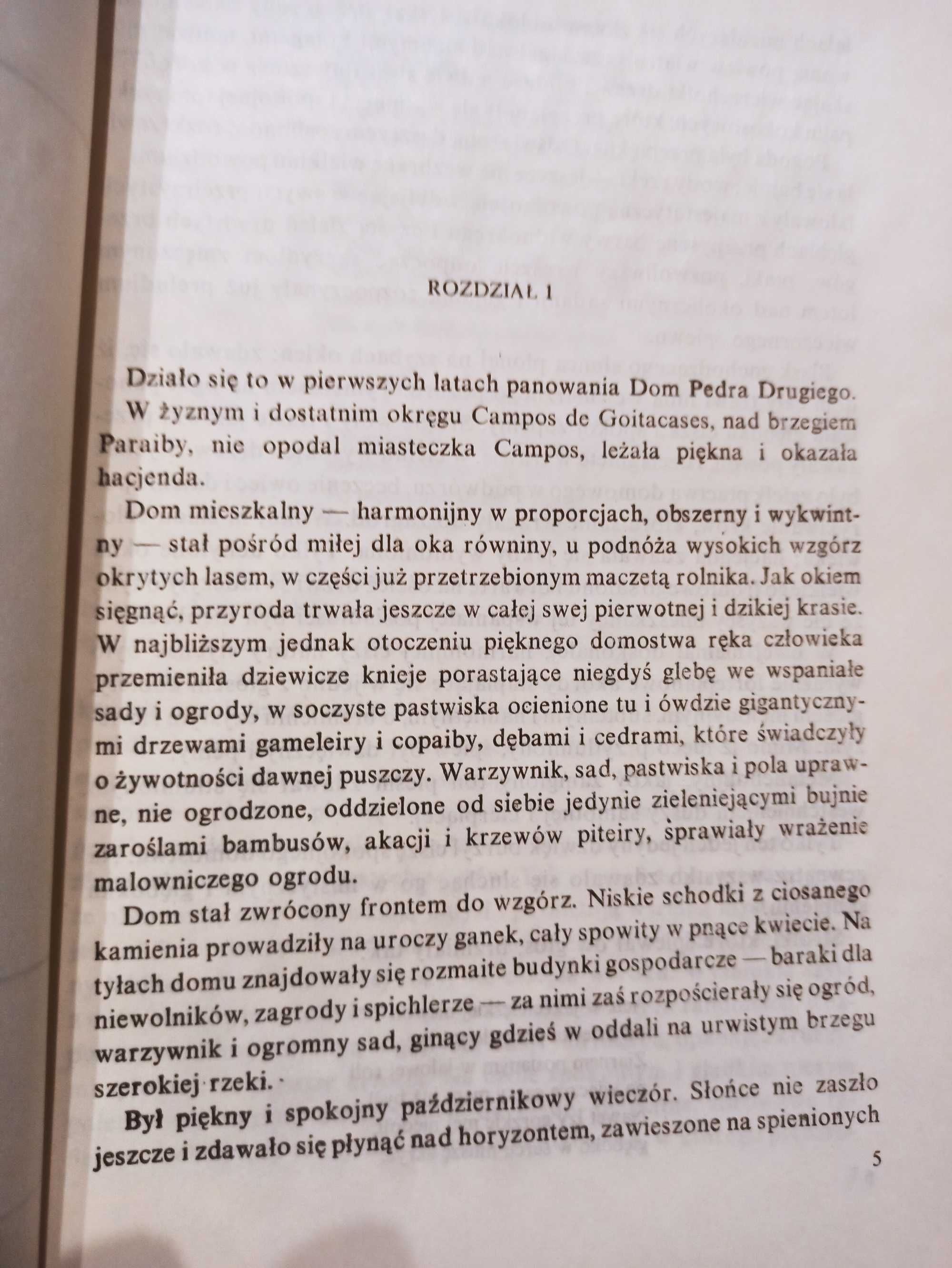 Bernardo Guimaraes, Niewolnica Isaura