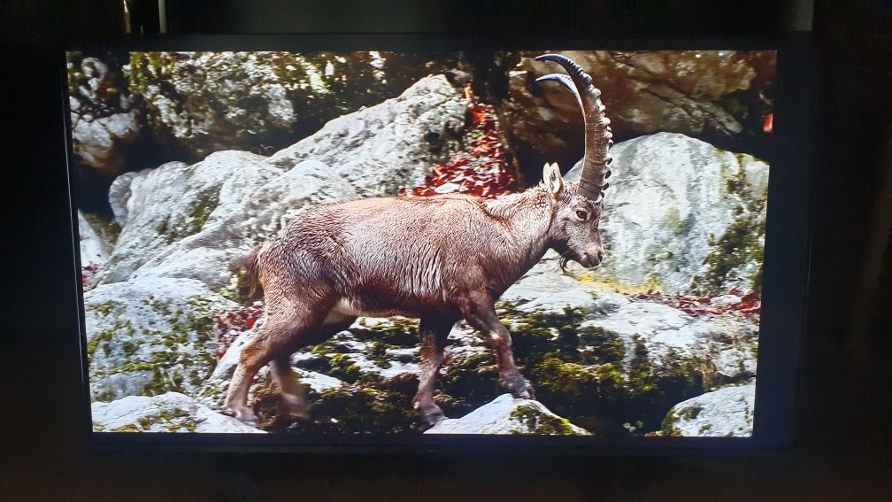 Hisense 50'' Smart UHD 4K 100% sprawny