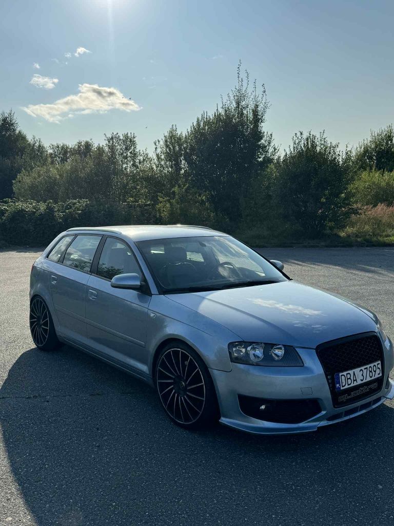 Audi A3 S3 2.0 Tfsi Quatro Downwipe Alu 19 Sportback