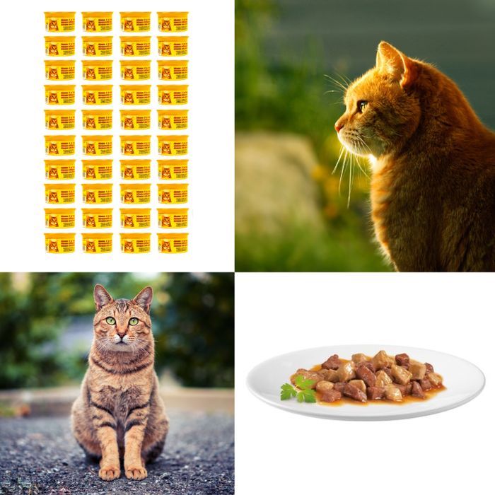 48 X 85 G Karma Mokra Dla Kotów Kurczak Kawałki W Sosie