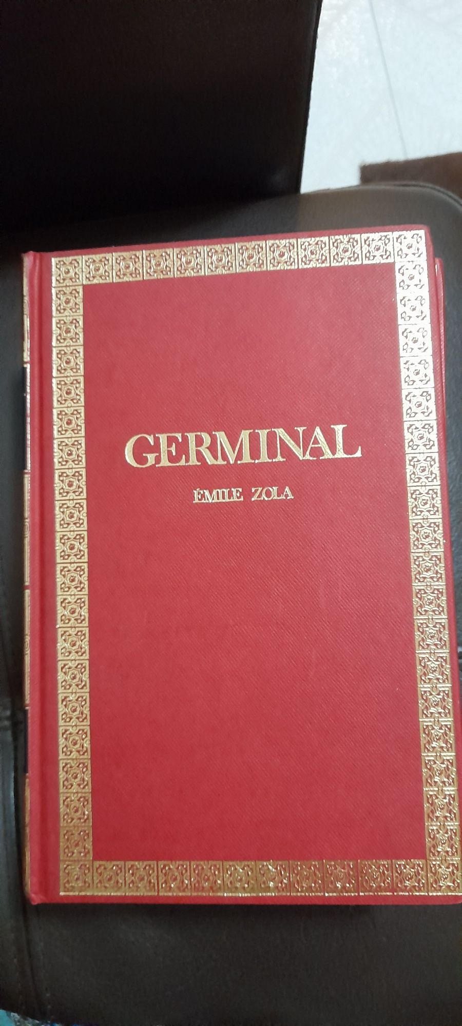 Livro " Germinal "