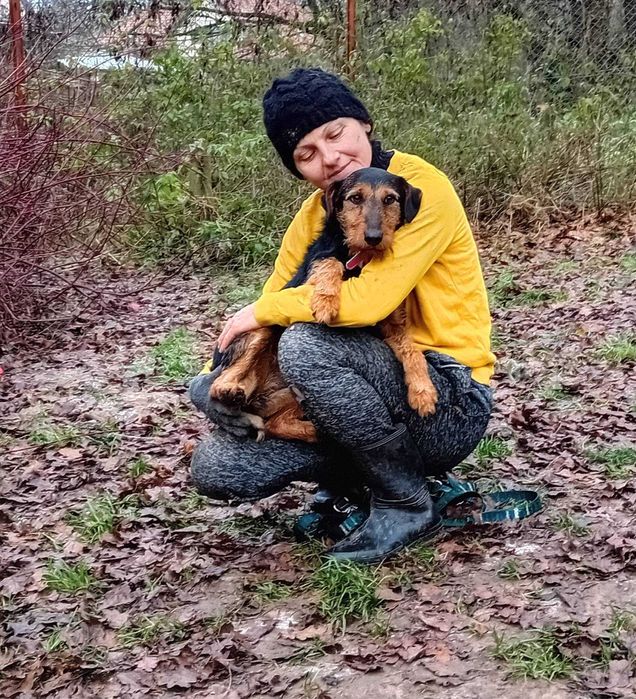 GRANDA - 1-roczna, terrier niemiecki, łagodna. [FILMIKI]