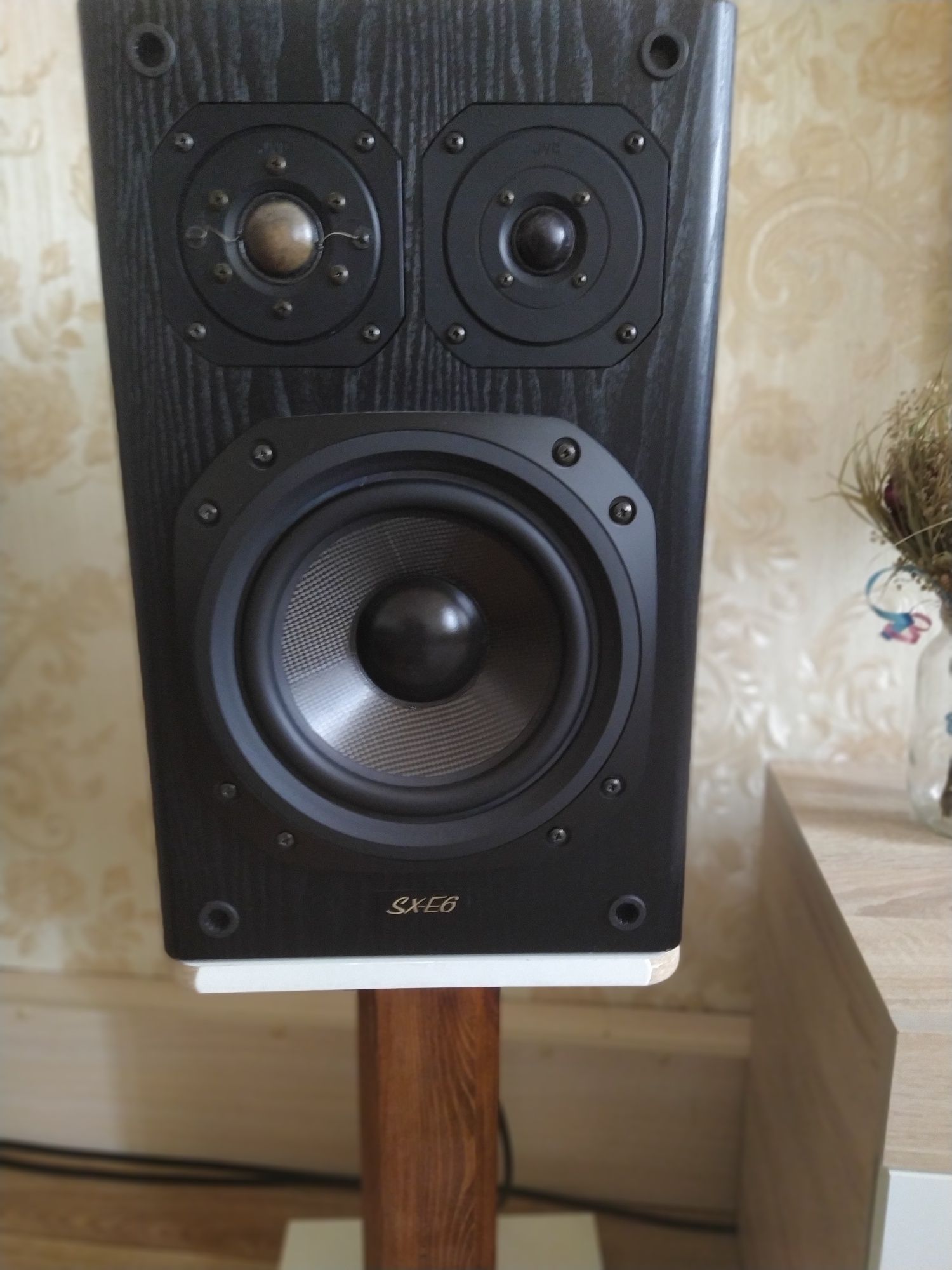 Акустика JVC SX E6