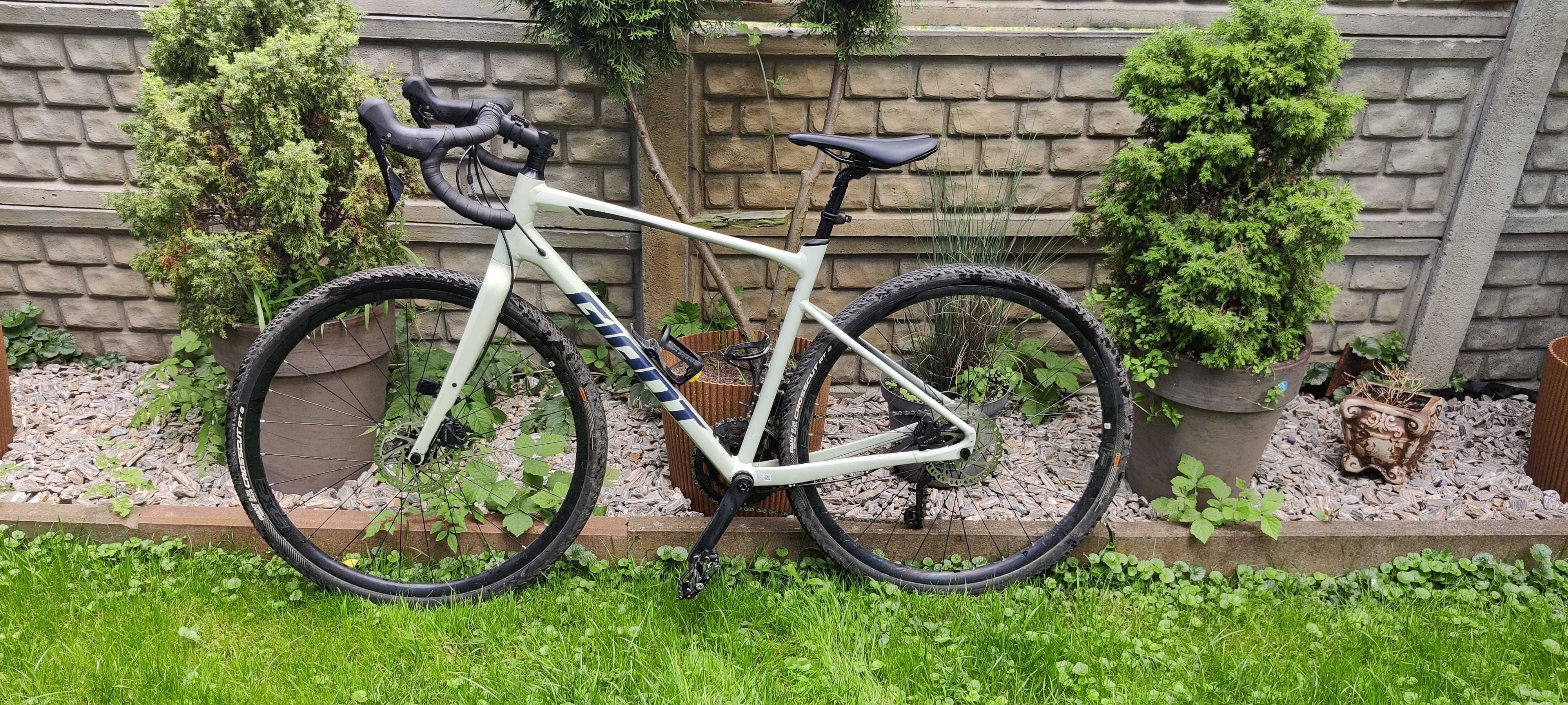Giant Revolt 1 2021 ML