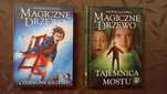 Czerwone krzesło I Tajemnica mostu to książki z serii Magiczne drzewo