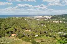 Terreno  para venda