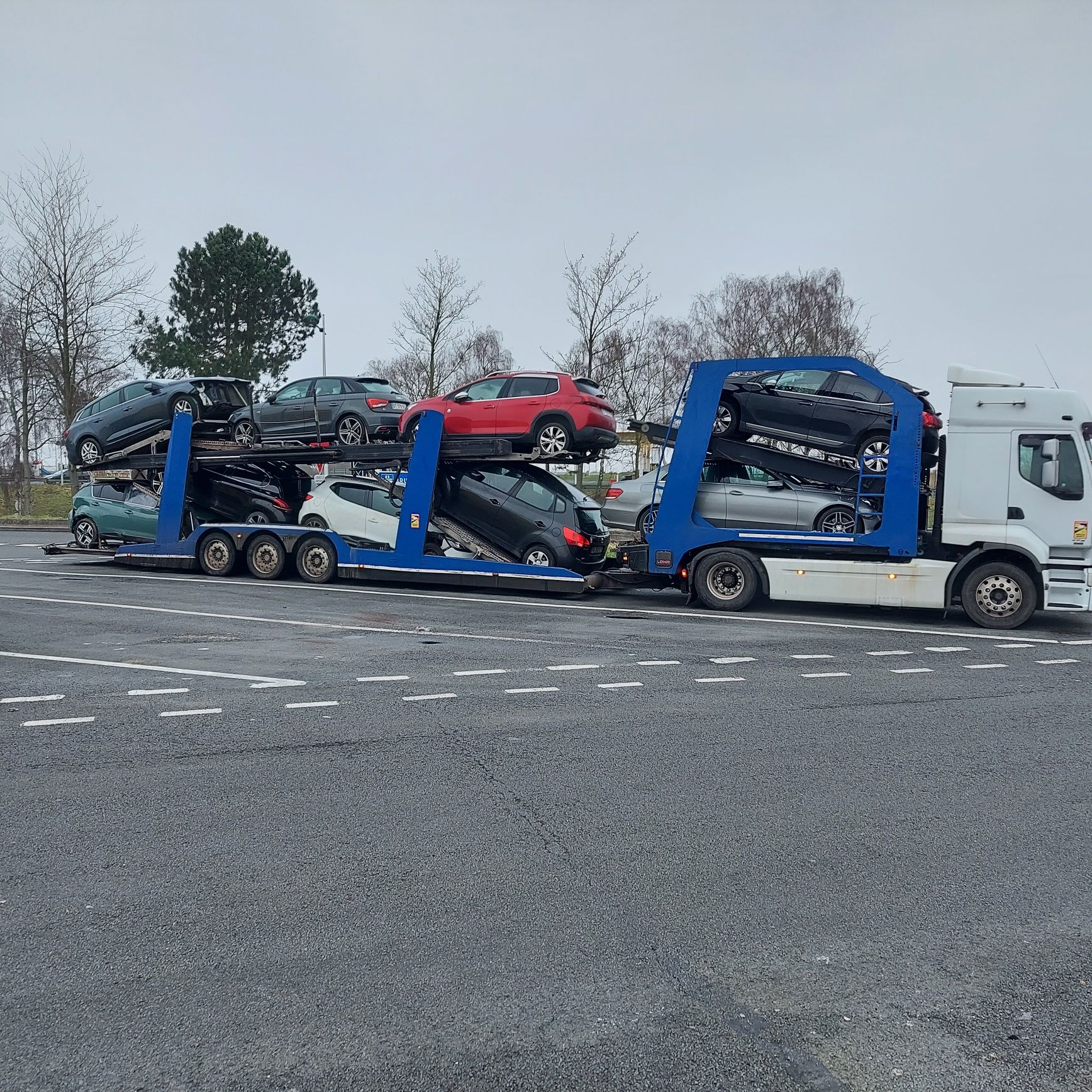 Renault premium +Lohr300