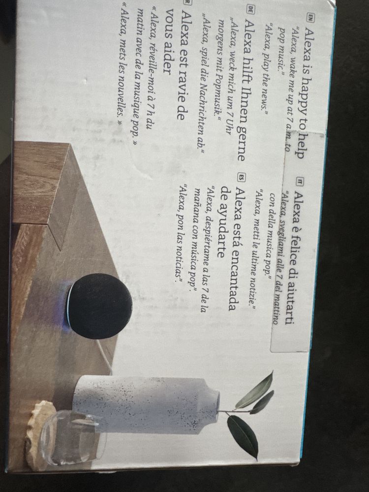 Echo dot 5 Alexa
