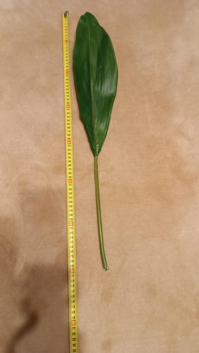 Sztuczne liście - różne rodzaje