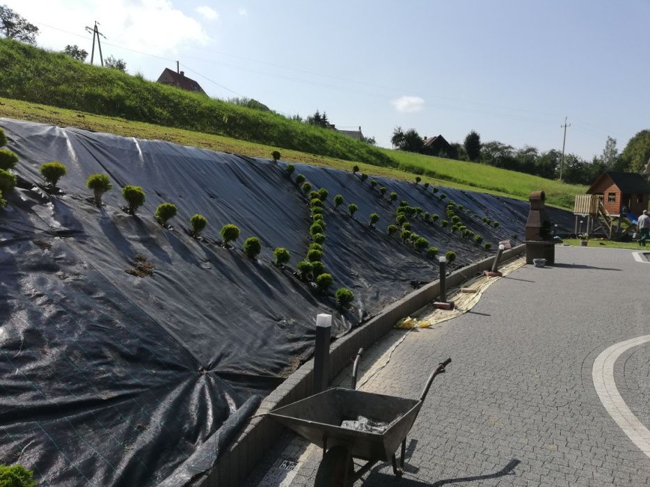 Uslugi Ogrodnicze Wycinka drzew tarasy/Kostak brukowa