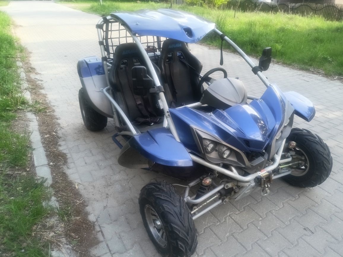Quad buggy NBluck 300 homologacja