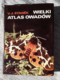 Wielki Atlas Owadów