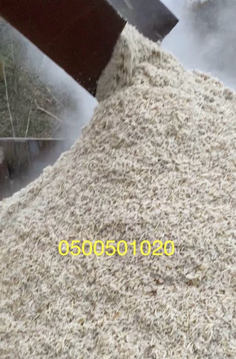 Свіжий Жом 2025р