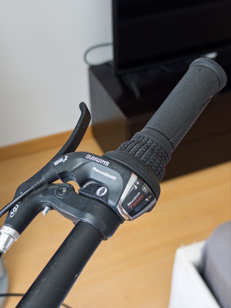 ECOSMO folding bike