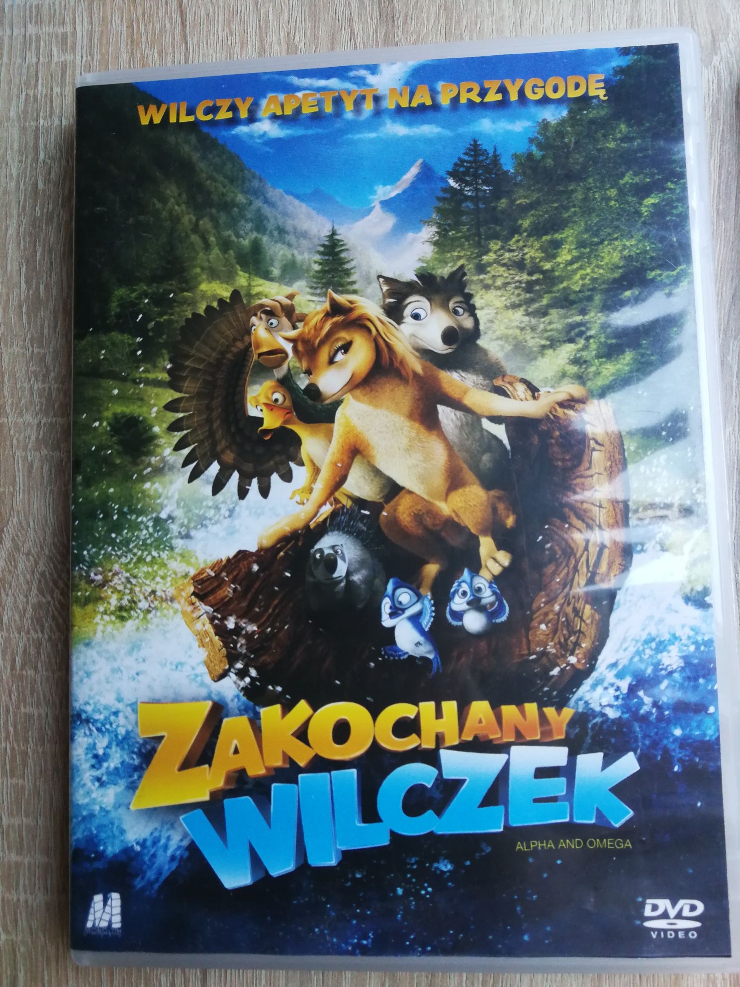 Płyta oryginalna ZAKOCHANY WILCZEK Film DVD