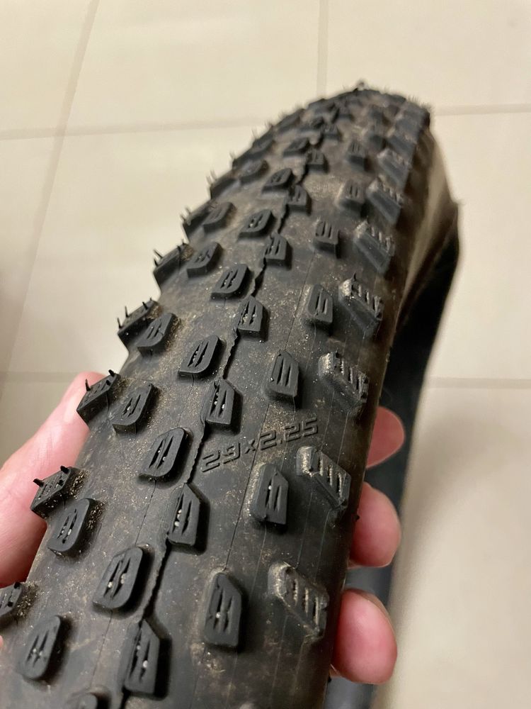 Schwalbe Racing Ray 2.25x29 Performance