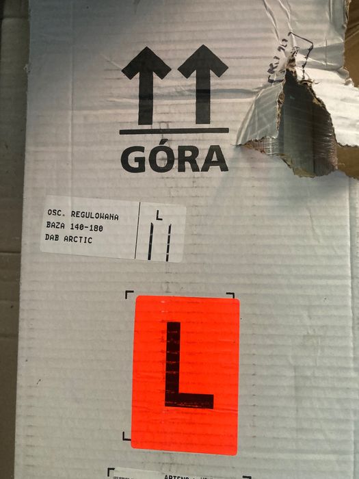 Osiernica Dąb arctic artens