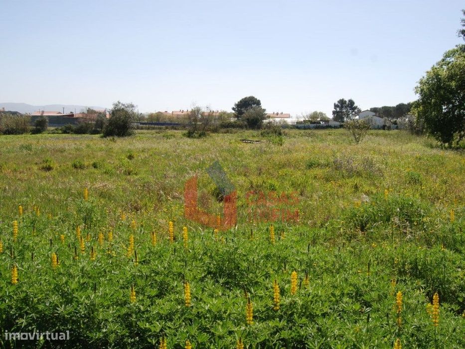 Terreno agrícola com 2350m2, Calvaria de Baixo, Batalha