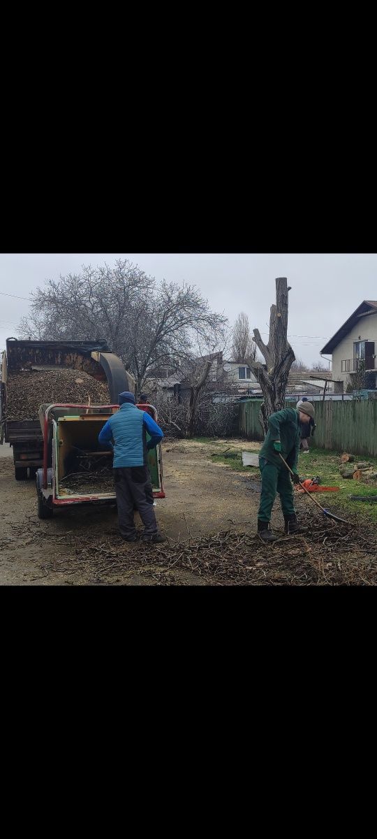 Обрезка деревьев любой сложности