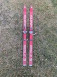 Narty Polsport Regale 18