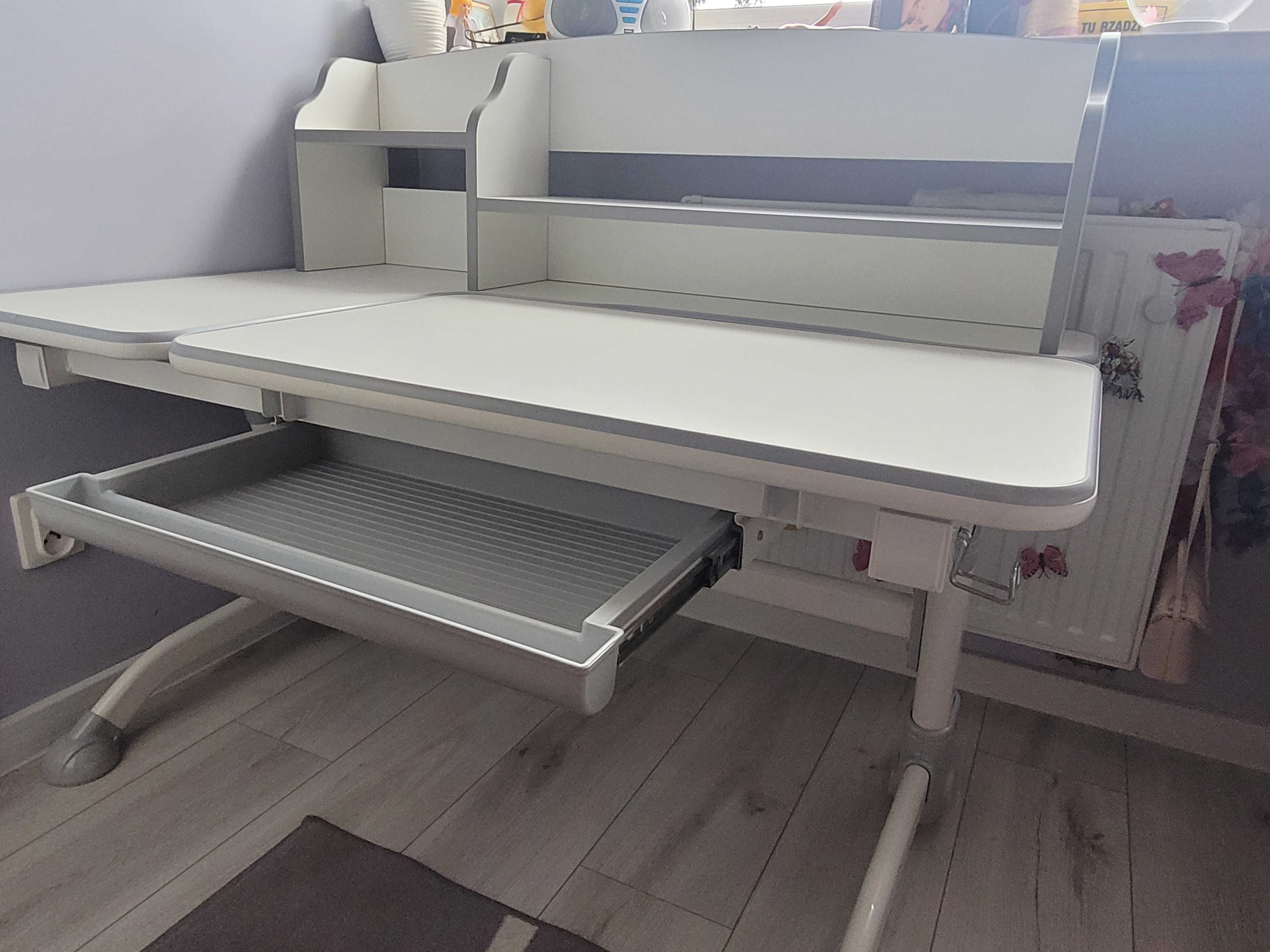 Biurko regulowane Fun desk