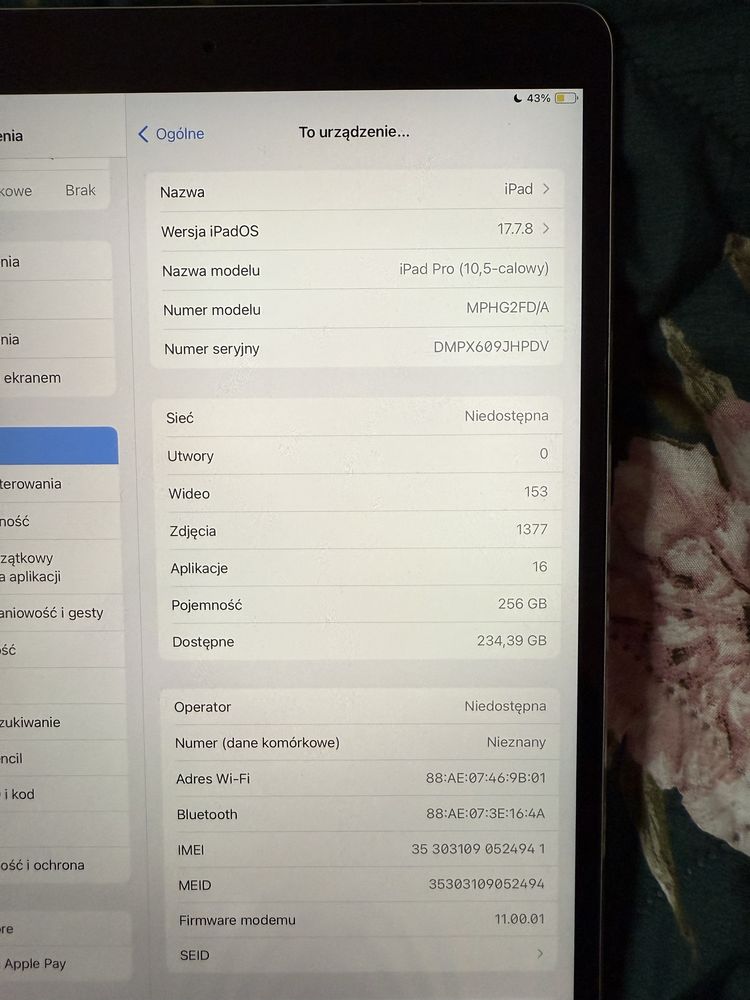 Ipad Pro 10,5 256 GB