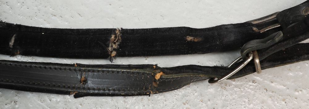 Akordeon Fratinelli Włochy