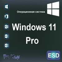 Windows 11 Professional Ліцензійний ключ