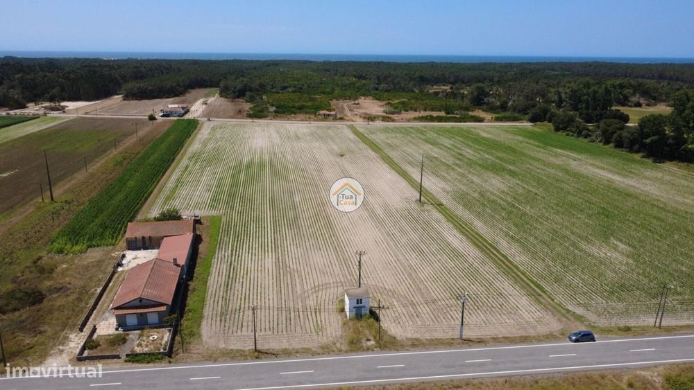 Quintas Do Norte – Murtosa