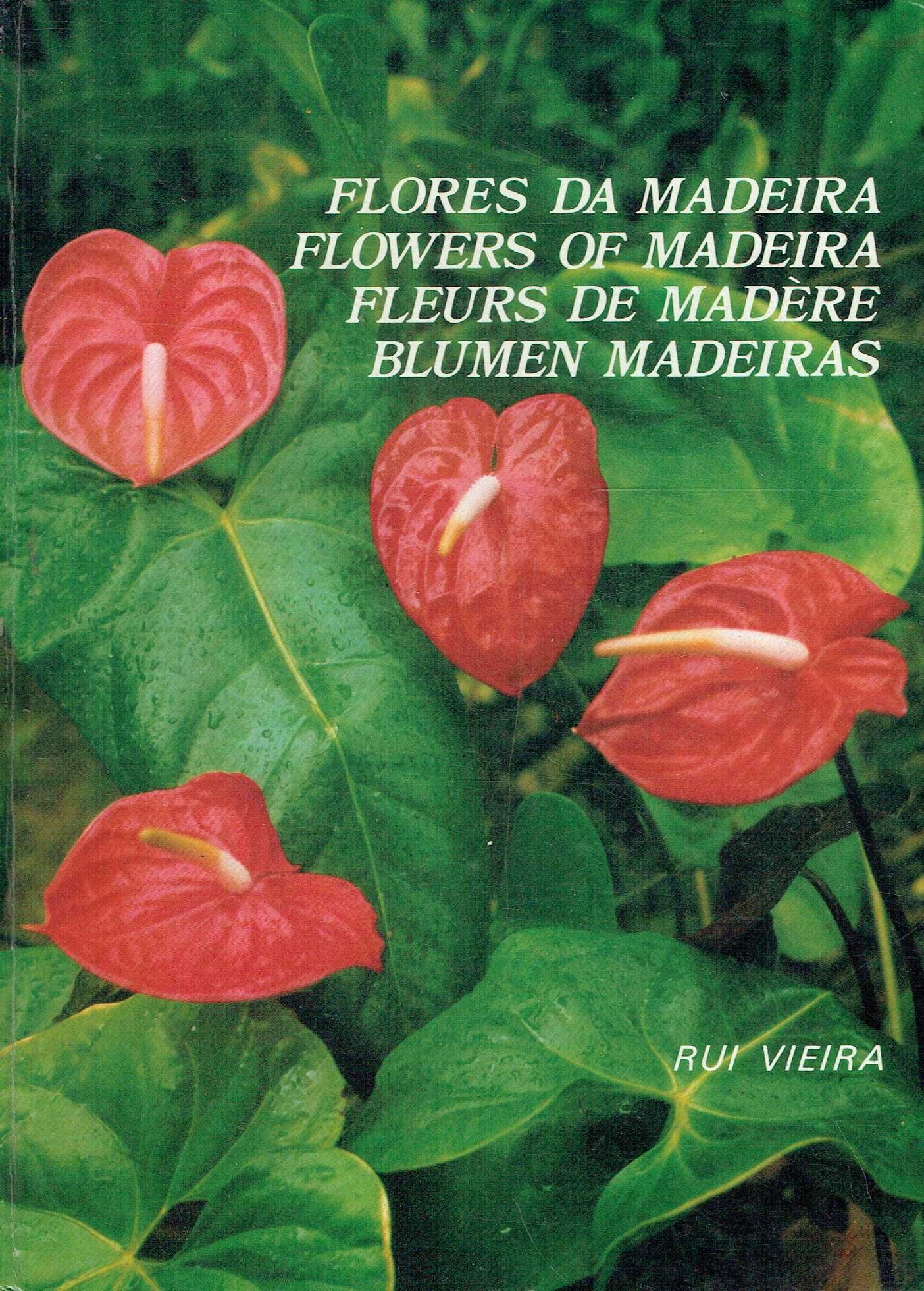 2145

Flores da Madeira"
de Rui Vieira