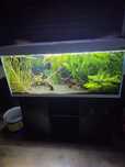 Akwarium aquael opti set 240l