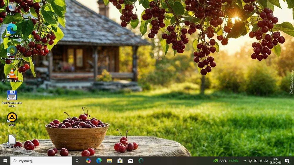 TANIO HP ProBook AMD A4/8GbDDR/256SSD/Radeon 7420G/BateriaOK