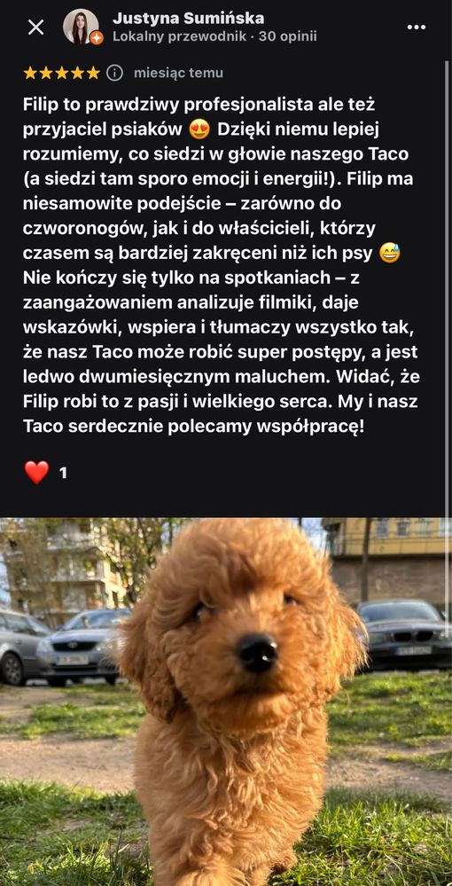 Behawiorysta i Szkolenie psów Poznań Swarzędz