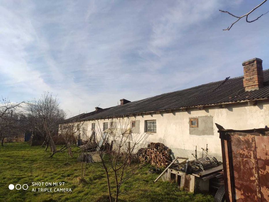 Ферма / Приміщення ферми/ сільсько господарське приміщення