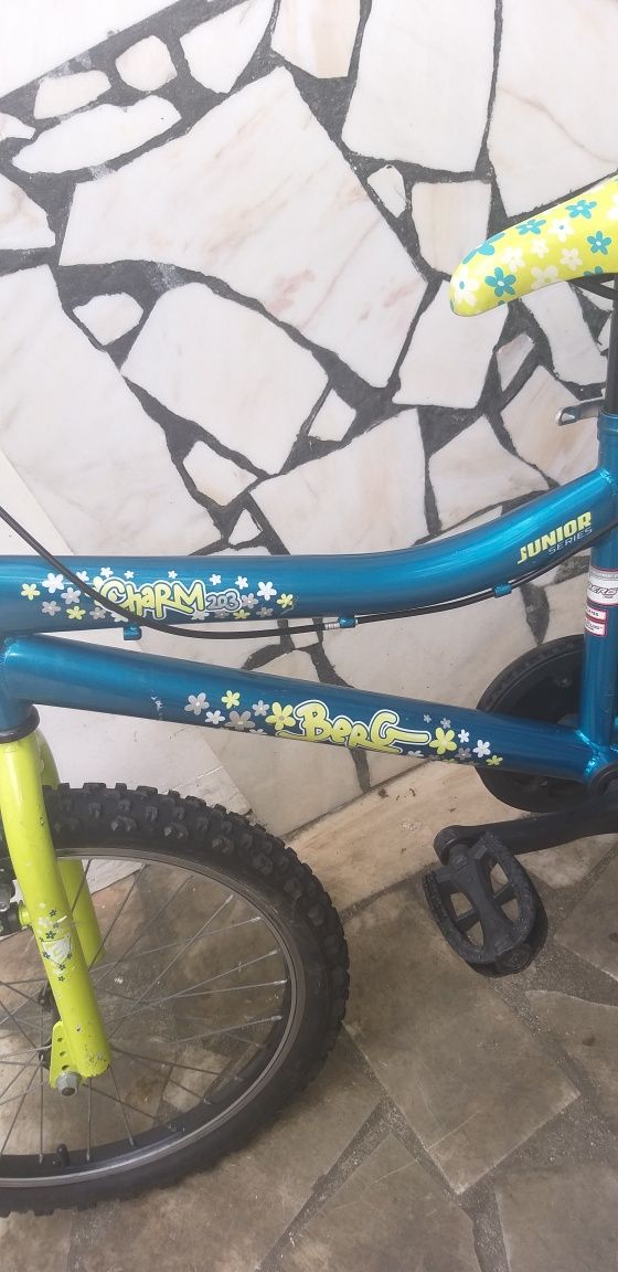 Bicicleta Berg roda 20