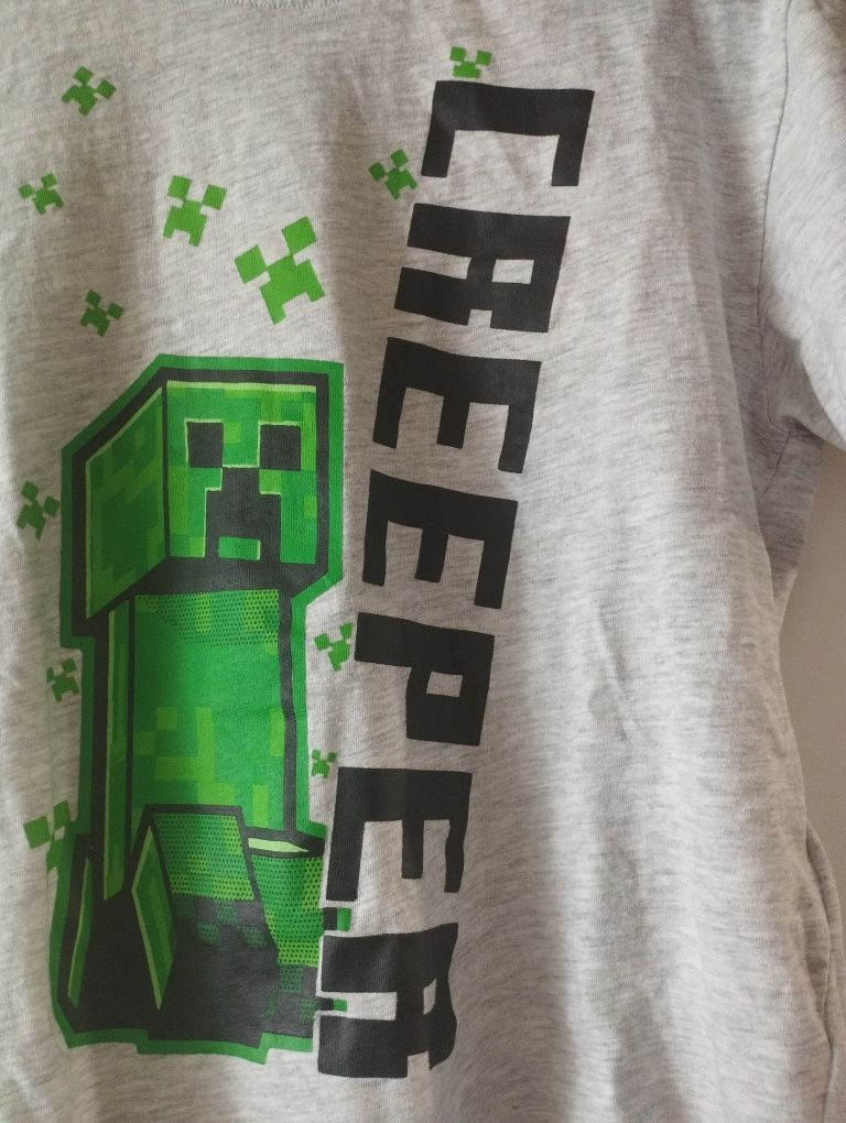 Bluzka minecraft