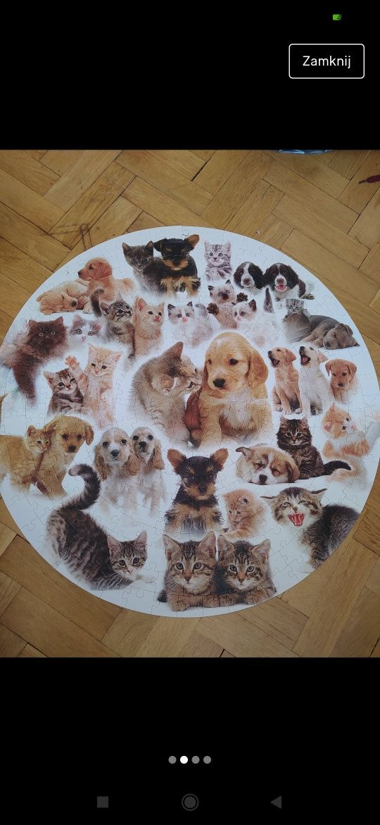 Puzzle Nasi Milusińscy, koty i psy