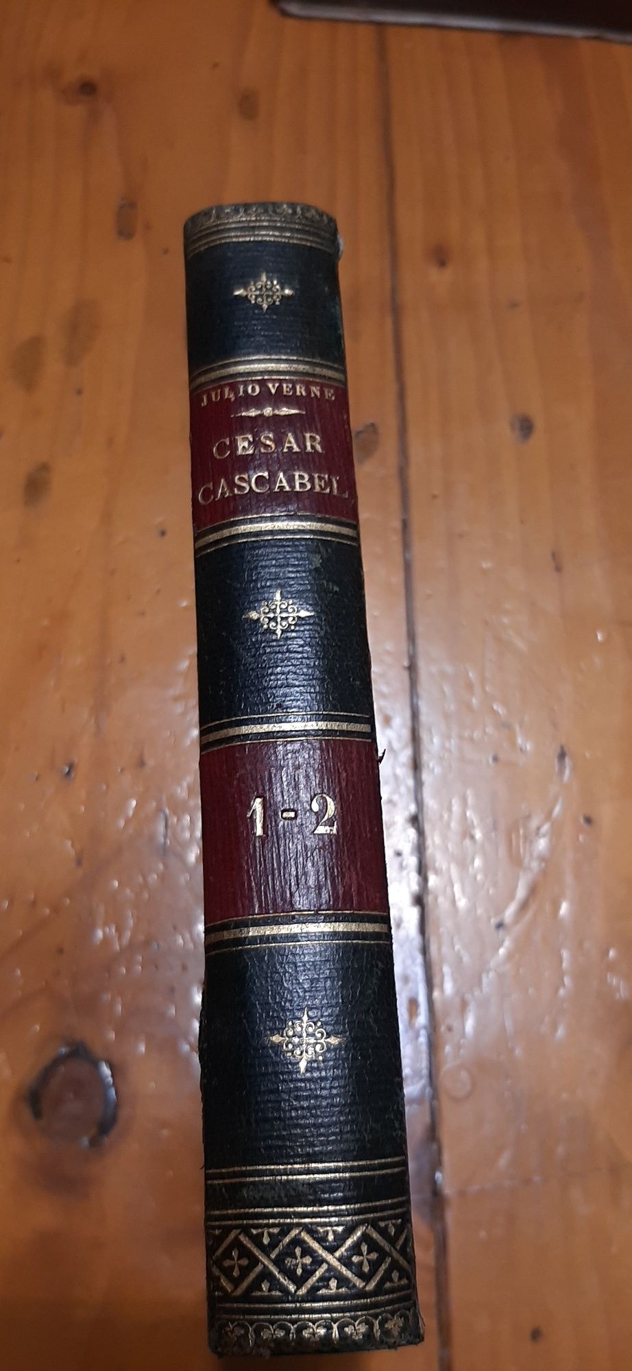 Antigo Livro de Júlio Verne  1. Edição  Ano 1891.