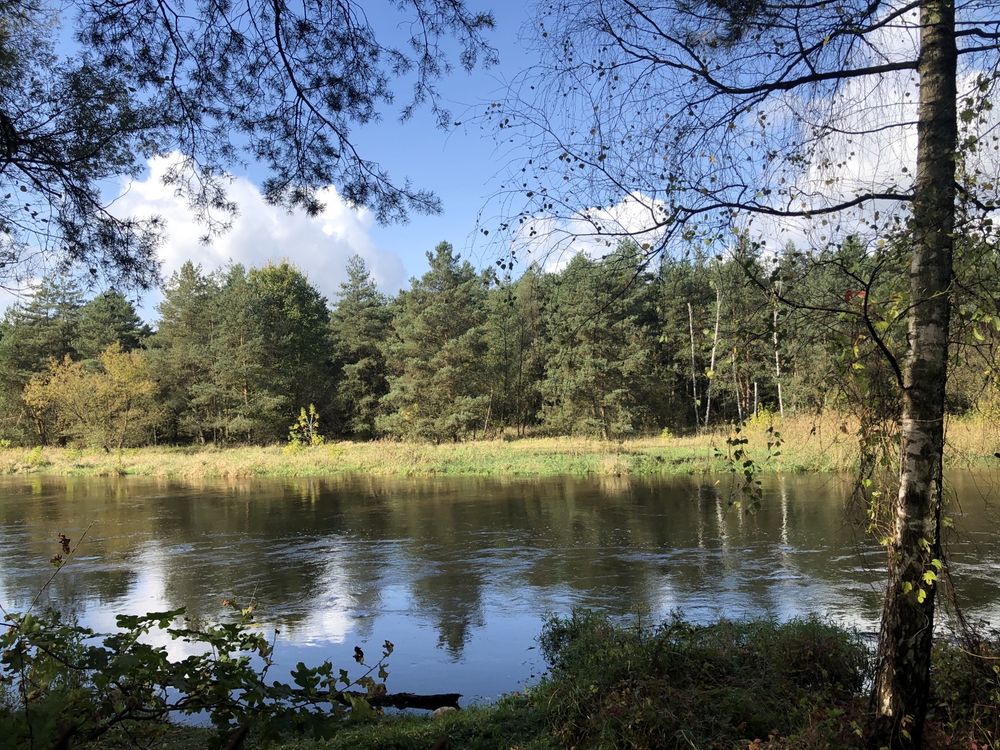 Wynajmę domek nad rzeką w lesie Ryczywół Puszcza Kozienicka 6 osób