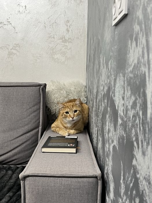 Маркусик шукає родину!!!