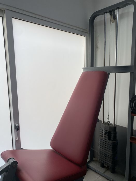 Máquina Leg Extension / Extensora