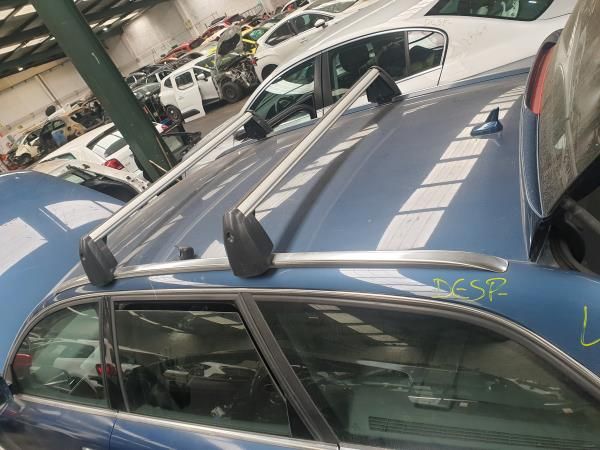 Tejadilho AUDI A6 Avant (4F5, C6)