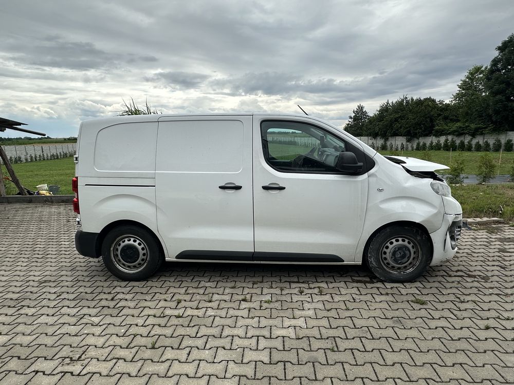 Peugeot expert 2021 1.5 l1h1 vat1 vat-1 samochod dostawczy bus