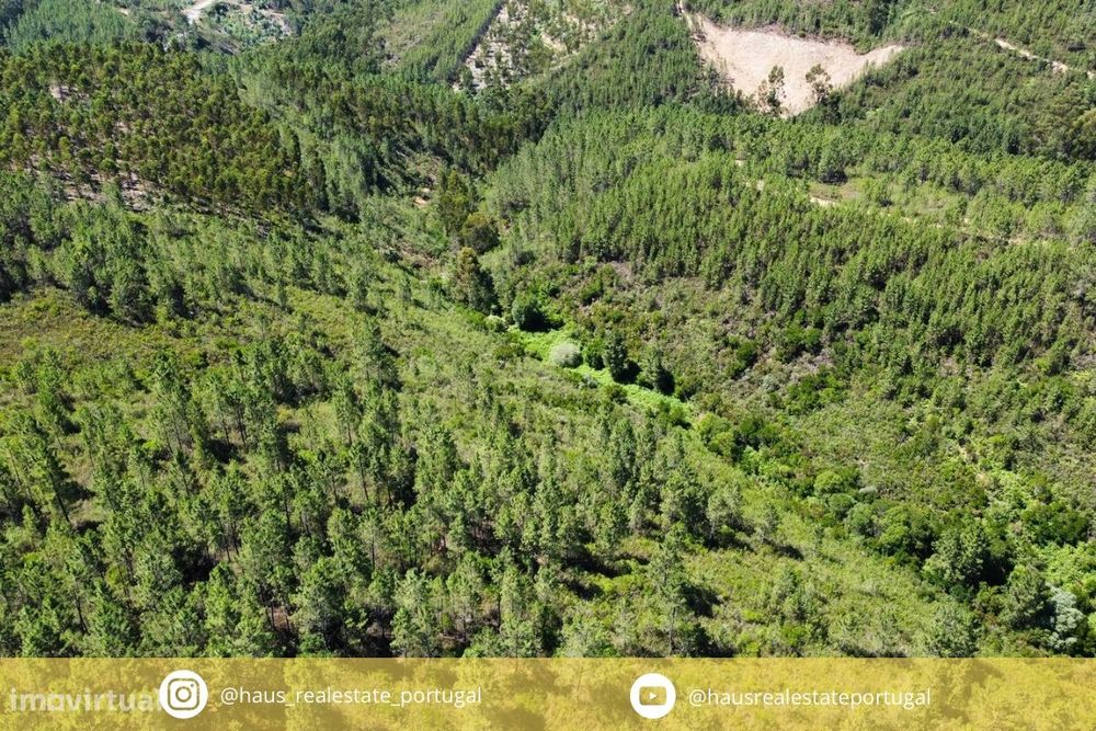Terreno Rústico  Venda em Sarnadas de São Simão,Oleiros