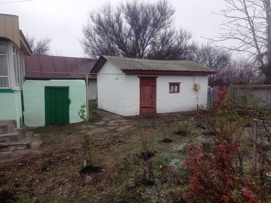 Капітальний будинок в с. Товстоліс 8 км від Чернігова